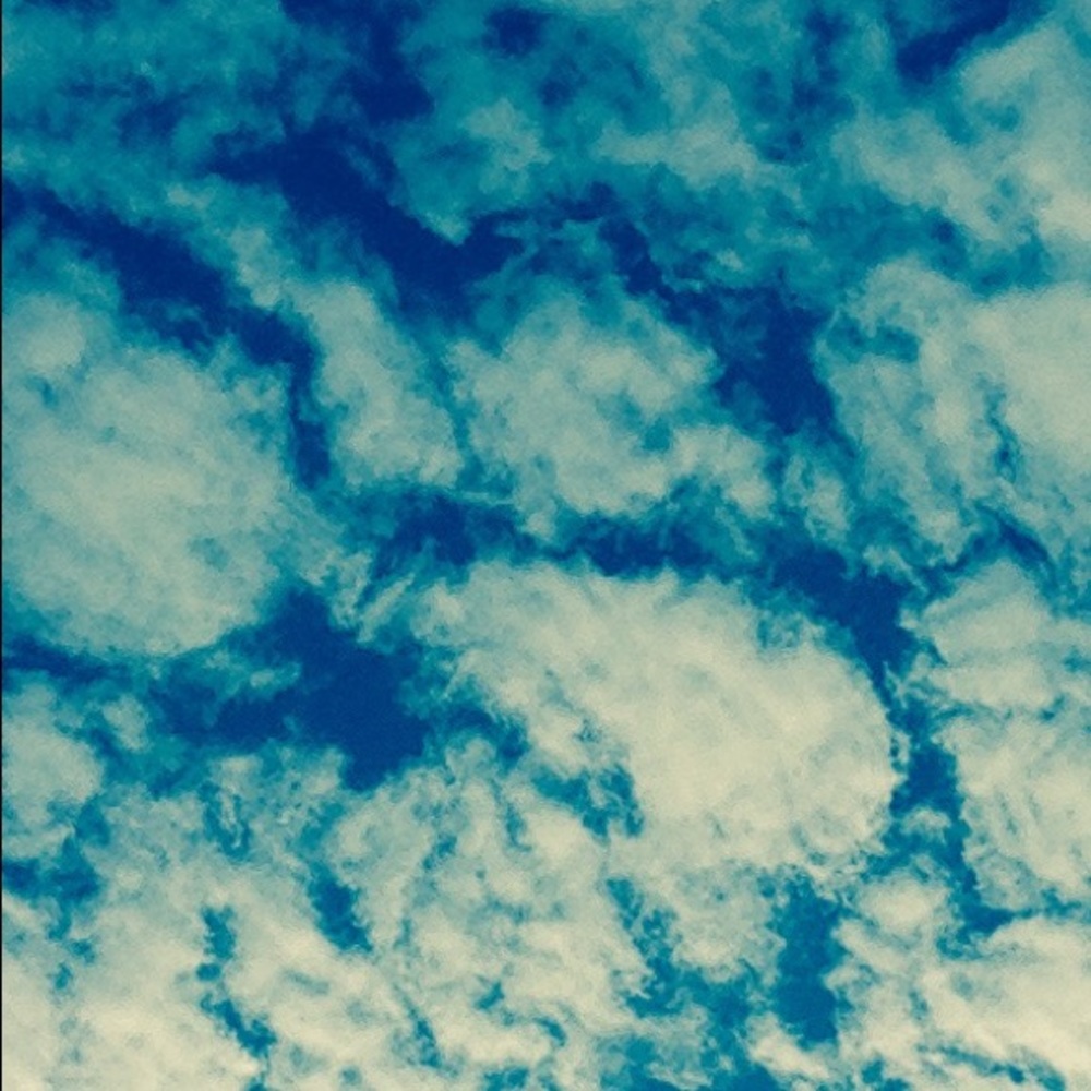 Meet your Posher, Eliza